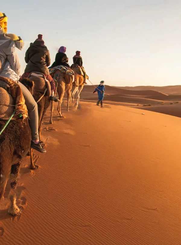 Merzouga Travel Guide