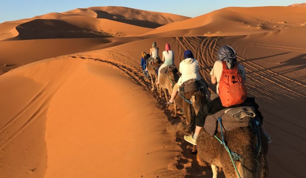 camel-ride