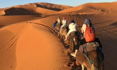 camel-ride