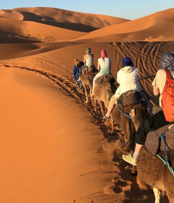 camel-ride