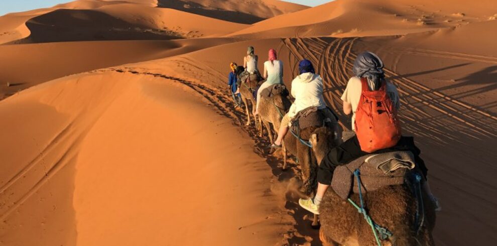 camel-ride