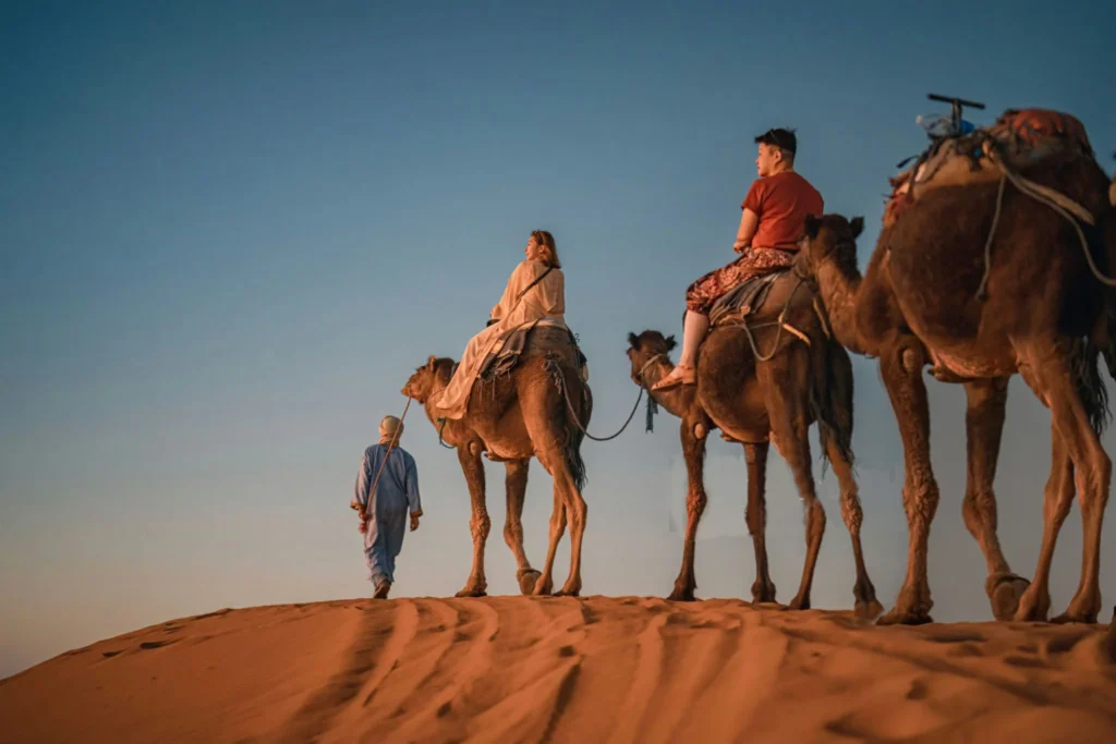 camel-trek