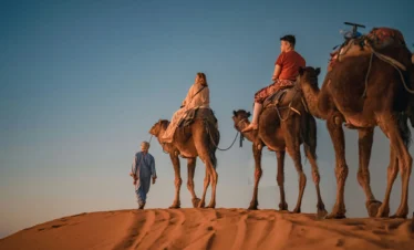 camel-trek