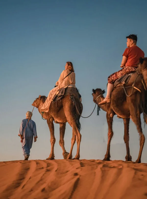 camel-trek