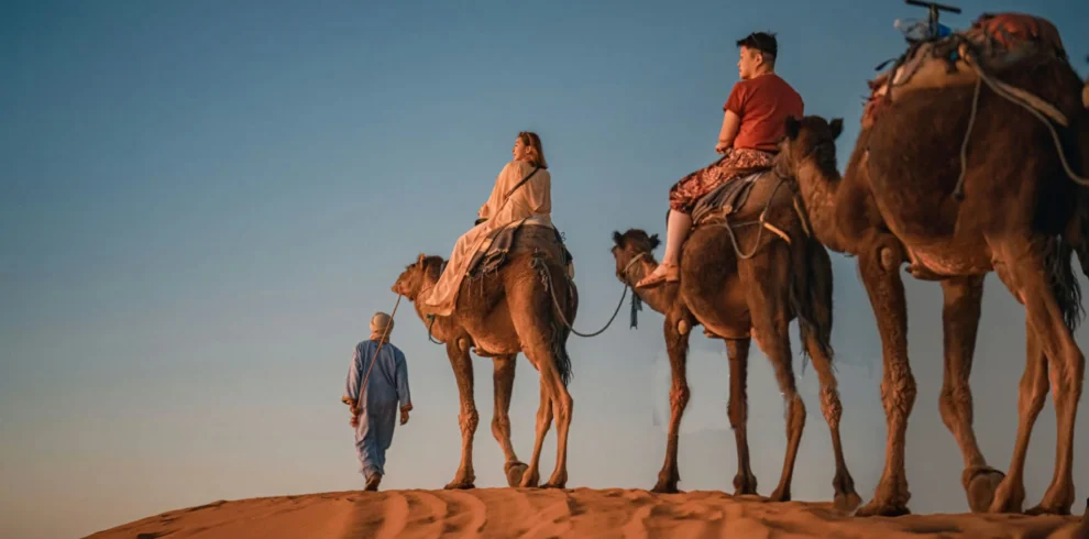 camel-trek