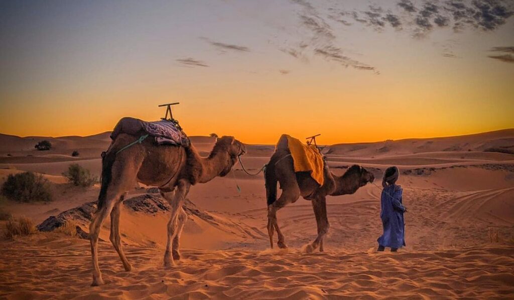 Overnight-camel-trek-in-Merzouga-desert