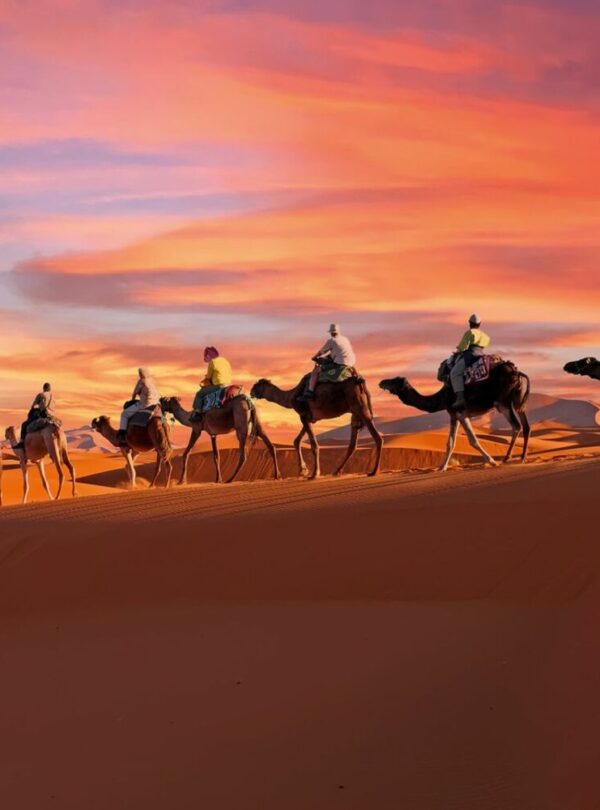 Sunset-camel-trek-in-Merzouga