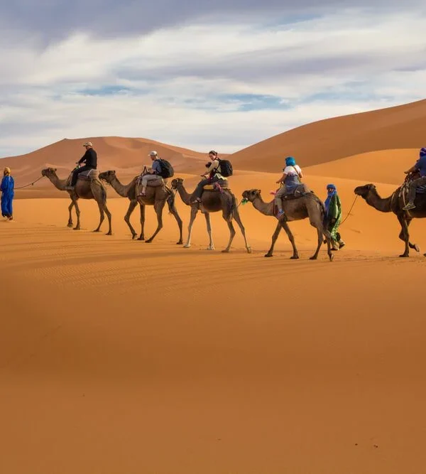 camel-trek-experience