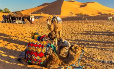 merzouga-atv-tours-nore