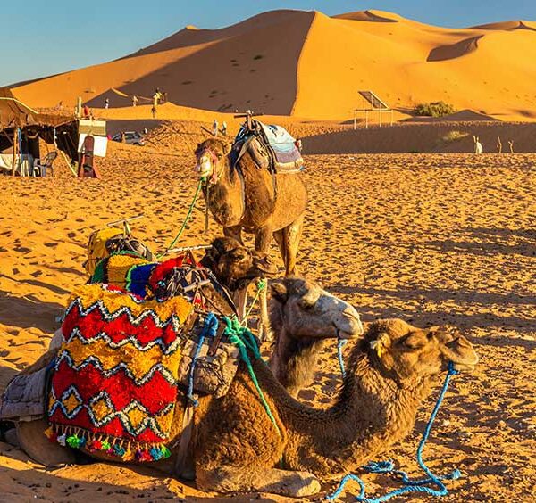 merzouga-atv-tours-nore