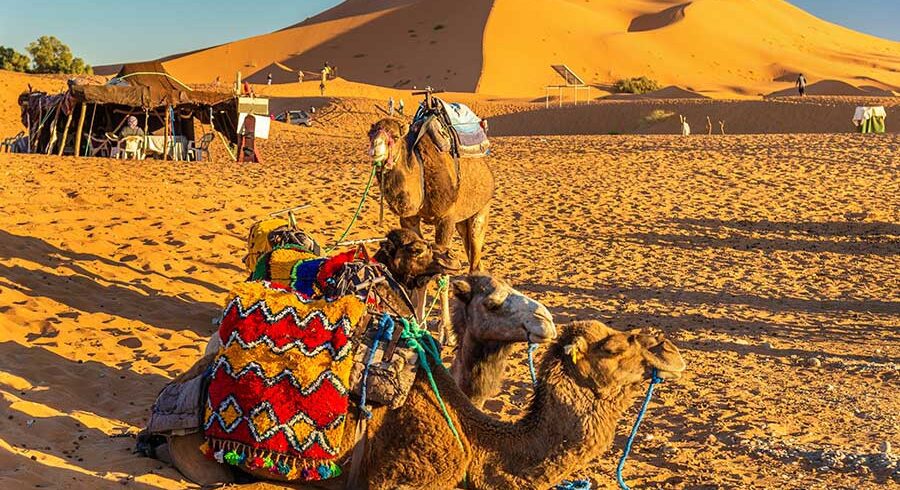 merzouga-atv-tours-nore